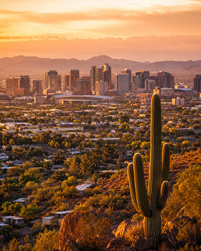 Phoenix